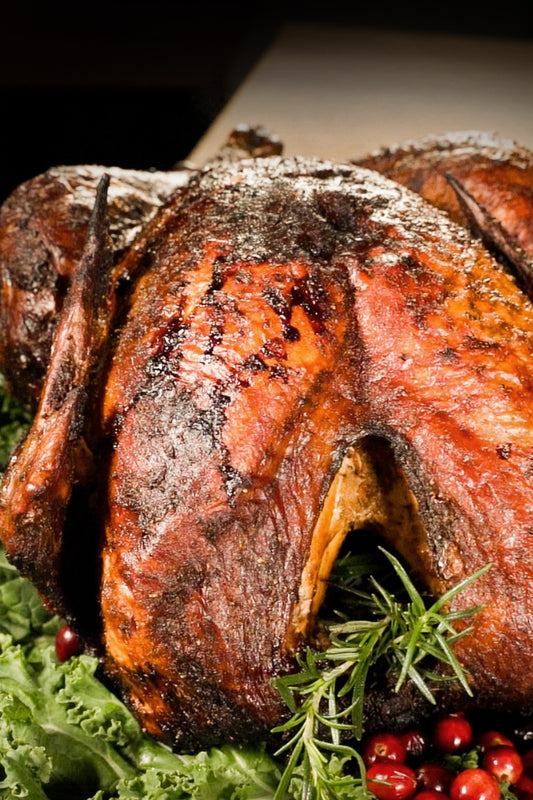 Roast Turkey by PlugNGrill Turbo E Electric Grill